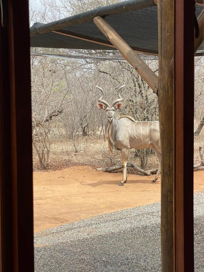 The Cheetah Rest Hoedspruit Exterior foto